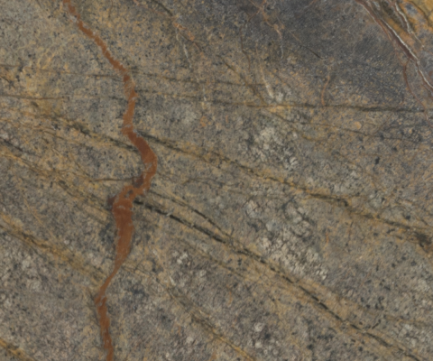 forest-brown-web.png